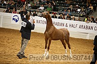 08usn-s07441 proof