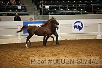08usn-s07442 proof