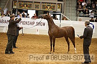 08usn-s07444 proof