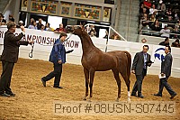 08usn-s07445 proof