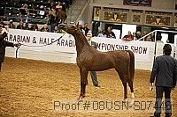 08usn-s07446 proof