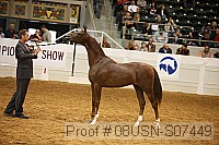 08usn-s07449 proof