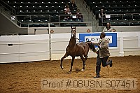 08usn-s07451 proof
