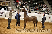 08usn-s07454 proof