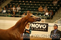 08usn-07862 proof