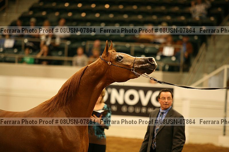 Proof 08usn-07864