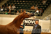 08usn-07864 proof