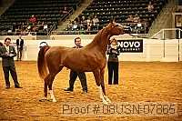 08usn-07865 proof