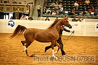 08usn-07866 proof