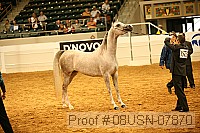 08usn-07870 proof