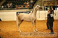 08usn-07872 proof