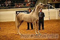08usn-07874 proof