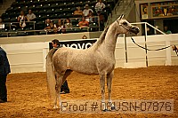 08usn-07876 proof