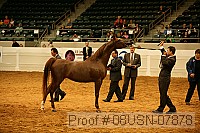 08usn-07878 proof