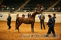 08usn-07881 proof