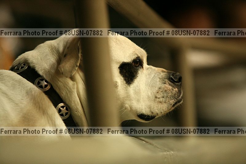 Proof 08usn-07882