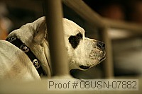 08usn-07882 proof