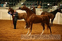 08usn-07883 proof