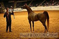 08usn-07884 proof