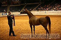 08usn-07885 proof