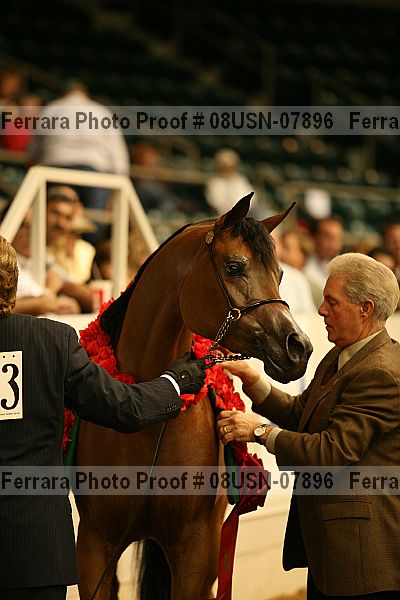 Proof 08usn-07896