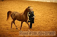 08usn-07907 proof
