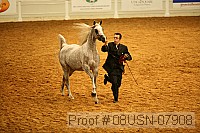 08usn-07908 proof