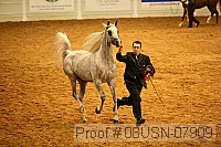 08usn-07909 proof