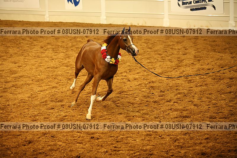 Proof 08usn-07912