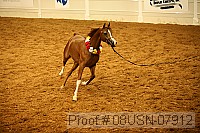 08usn-07912 proof