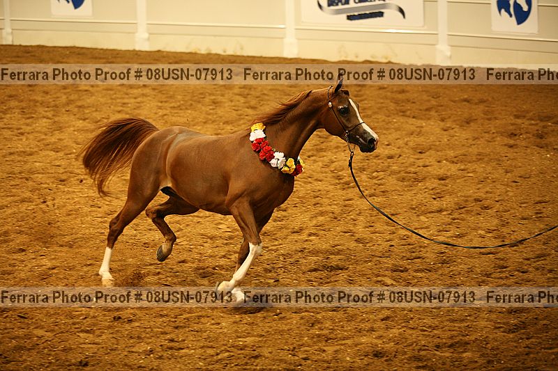 Proof 08usn-07913