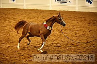08usn-07913 proof