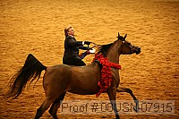 08usn-07915 proof