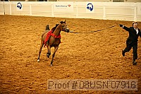 08usn-07916 proof