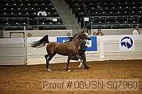 08usn-s07960 proof