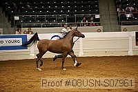 08usn-s07961 proof