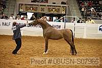 08usn-s07965 proof