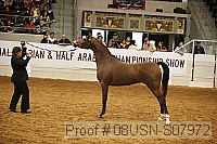 08usn-s07972 proof
