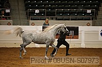 08usn-s07973 proof