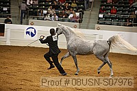 08usn-s07976 proof