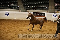 08usn-s07978 proof