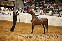 08usn-s07981 proof