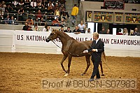 08usn-s07983 proof
