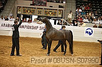 08usn-s07990 proof