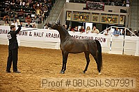 08usn-s07991 proof