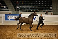 08usn-s07994 proof