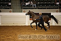 08usn-s08003 proof
