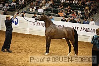 08usn-s08007 proof