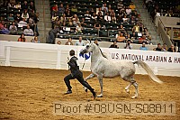 08usn-s08011 proof