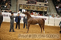 08usn-s08012 proof